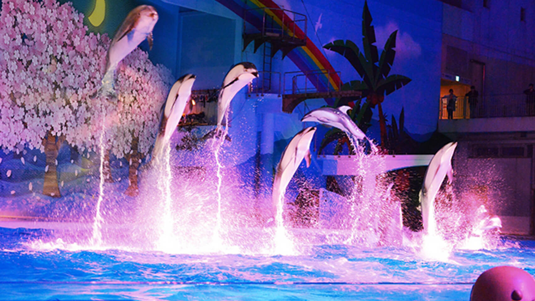 大型LEDビジョンの新設でイルカのショーをフルリニューアル！日本最大級の水族館「八景島シーパラダイス」