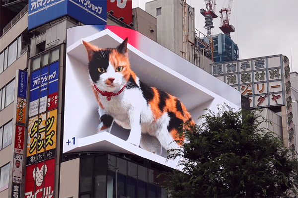 SNSで話題！3D映像が特徴のLEDビジョン「新宿東口の猫」